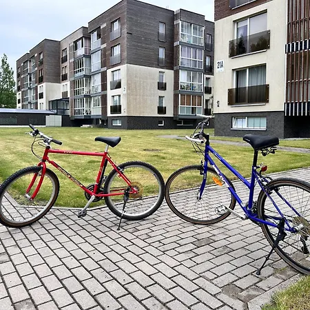 Calm And Cozy Free Bikes